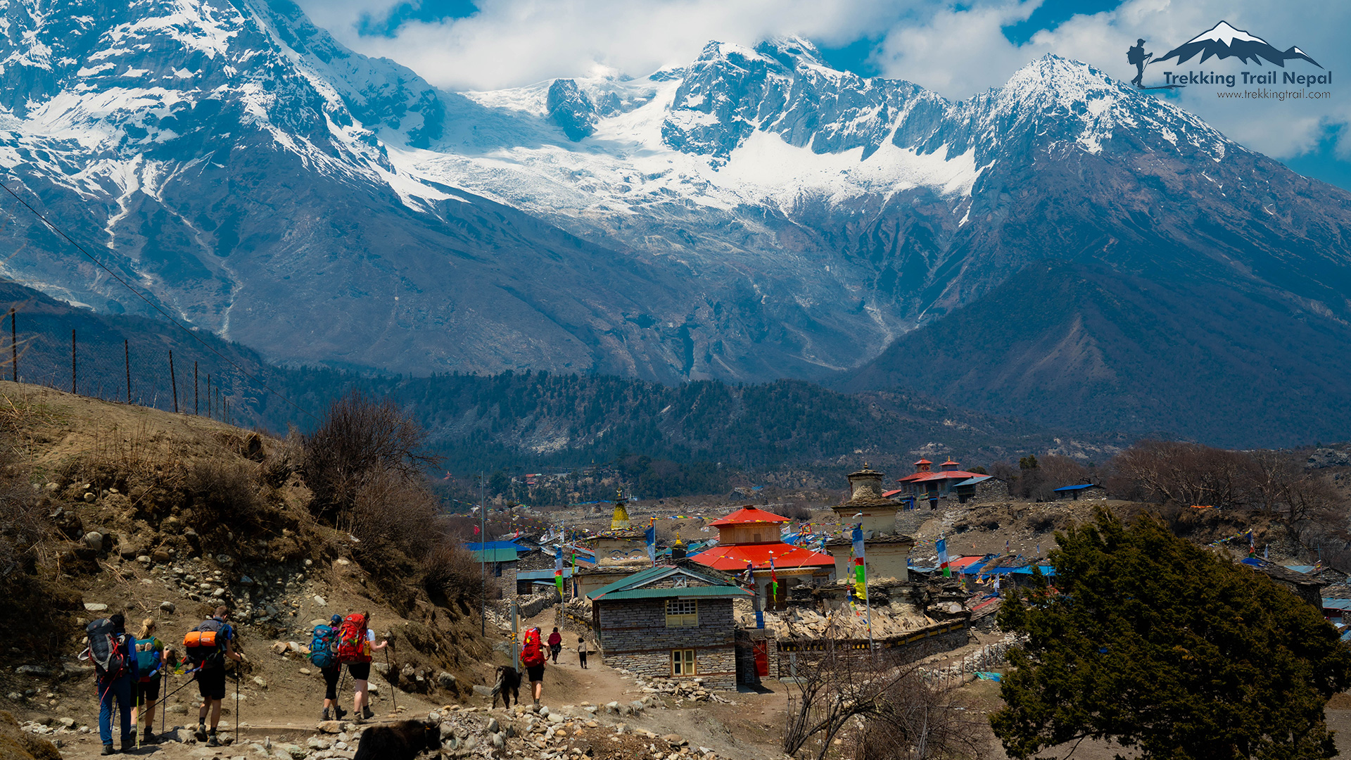 Complete Guide to the Manaslu Base Camp Trek