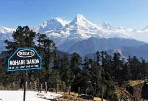 Mohare Danda Trekking Highlights
