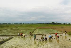 Monsoon Trekking in Nepal