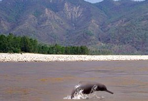 Nepal’s Aquatic Biodiversity For Tourism Attraction