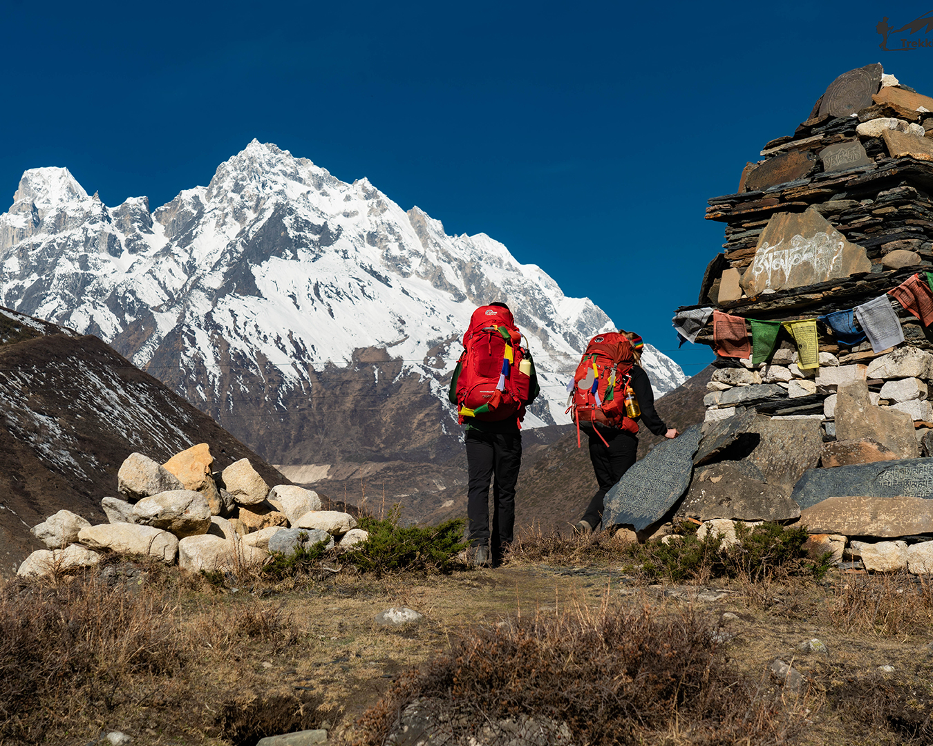 10 Days Manaslu Trek