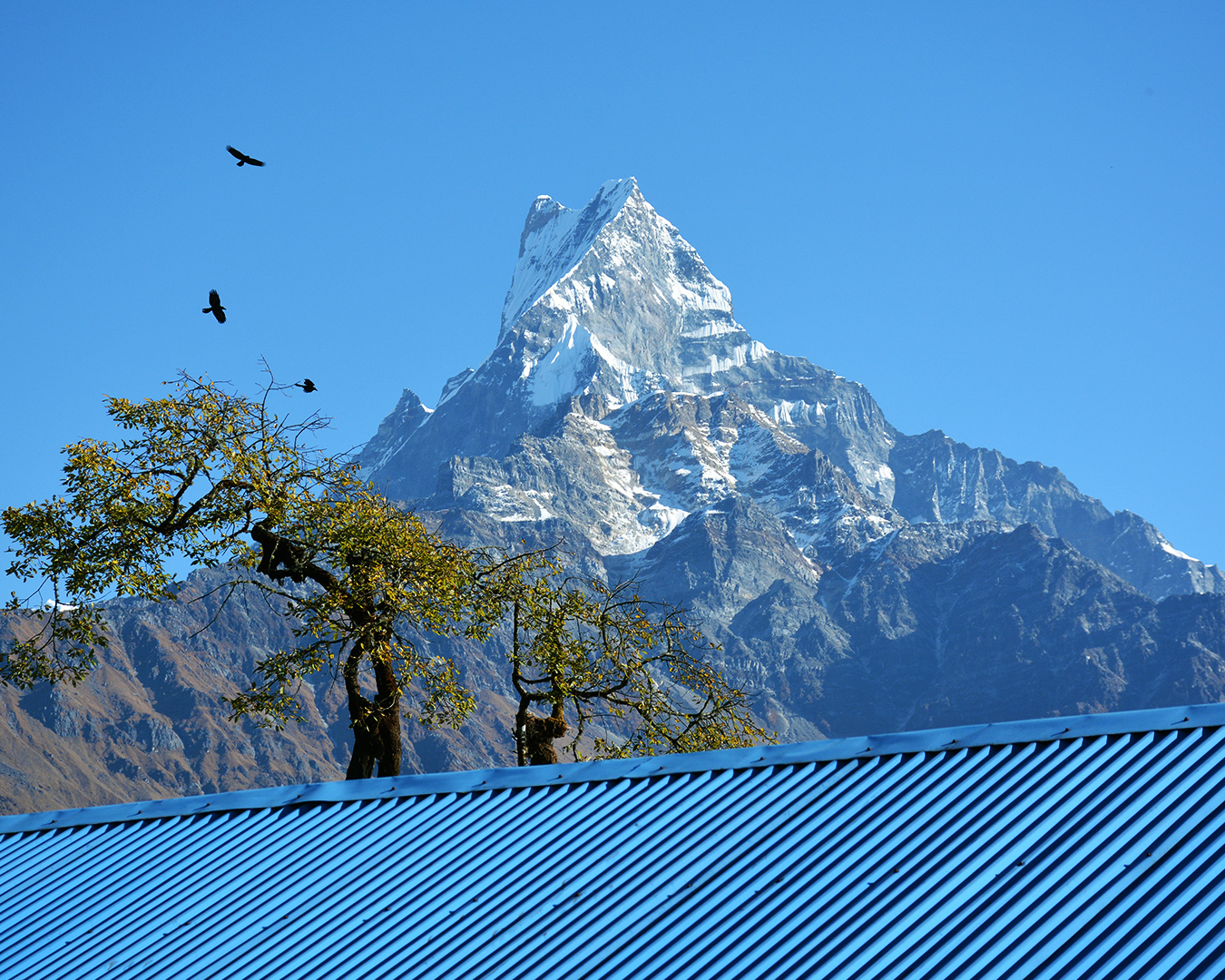 ABC Mardi Himal Trek