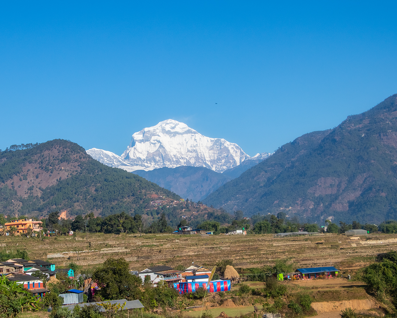 Dhaulagiri Sanctuary Trekking