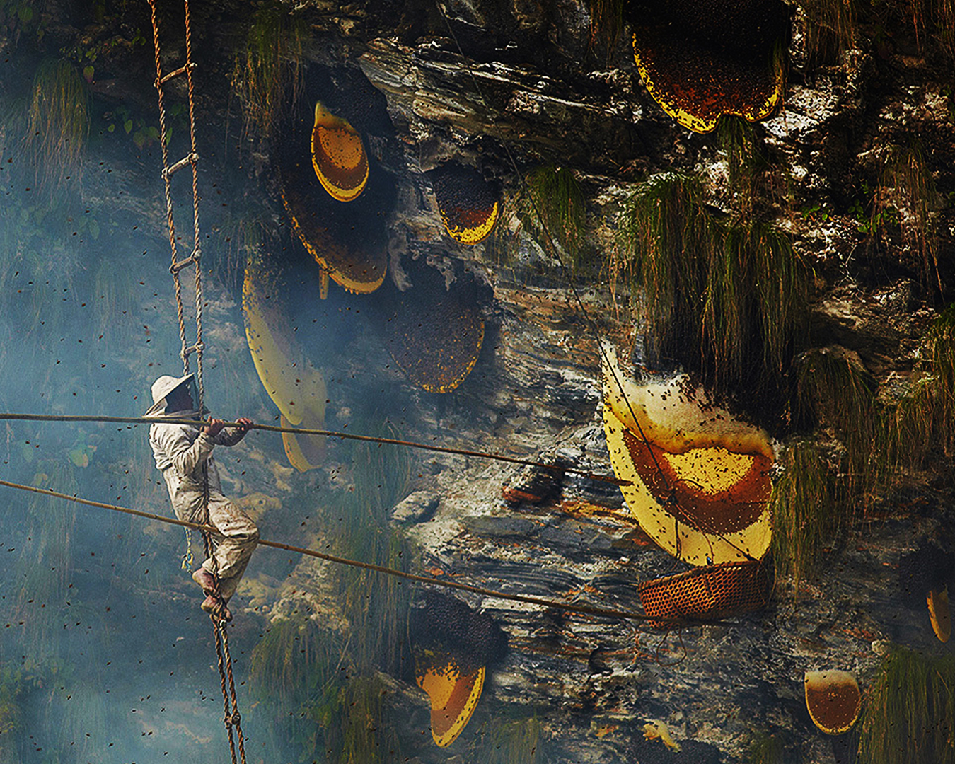 Honey Hunting Holiday Nepal