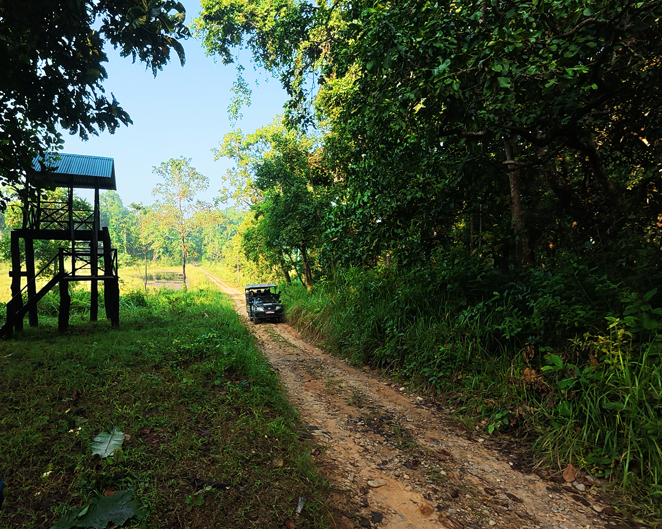 Koshi Tappu Wildlife Tour