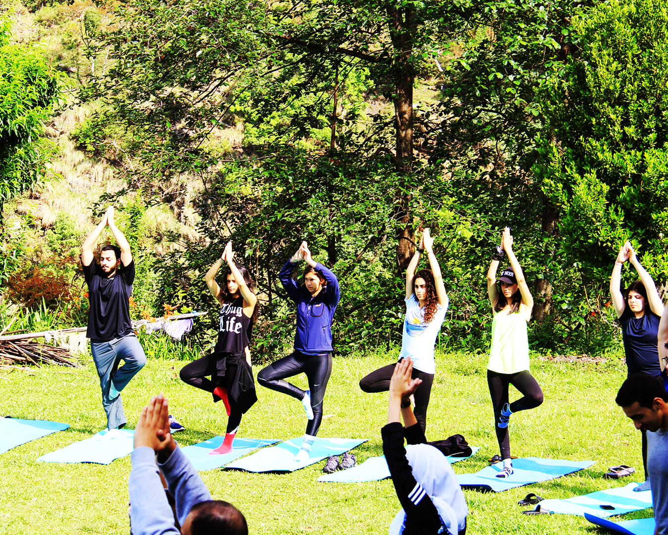 Mardi Himal Yoga Trek