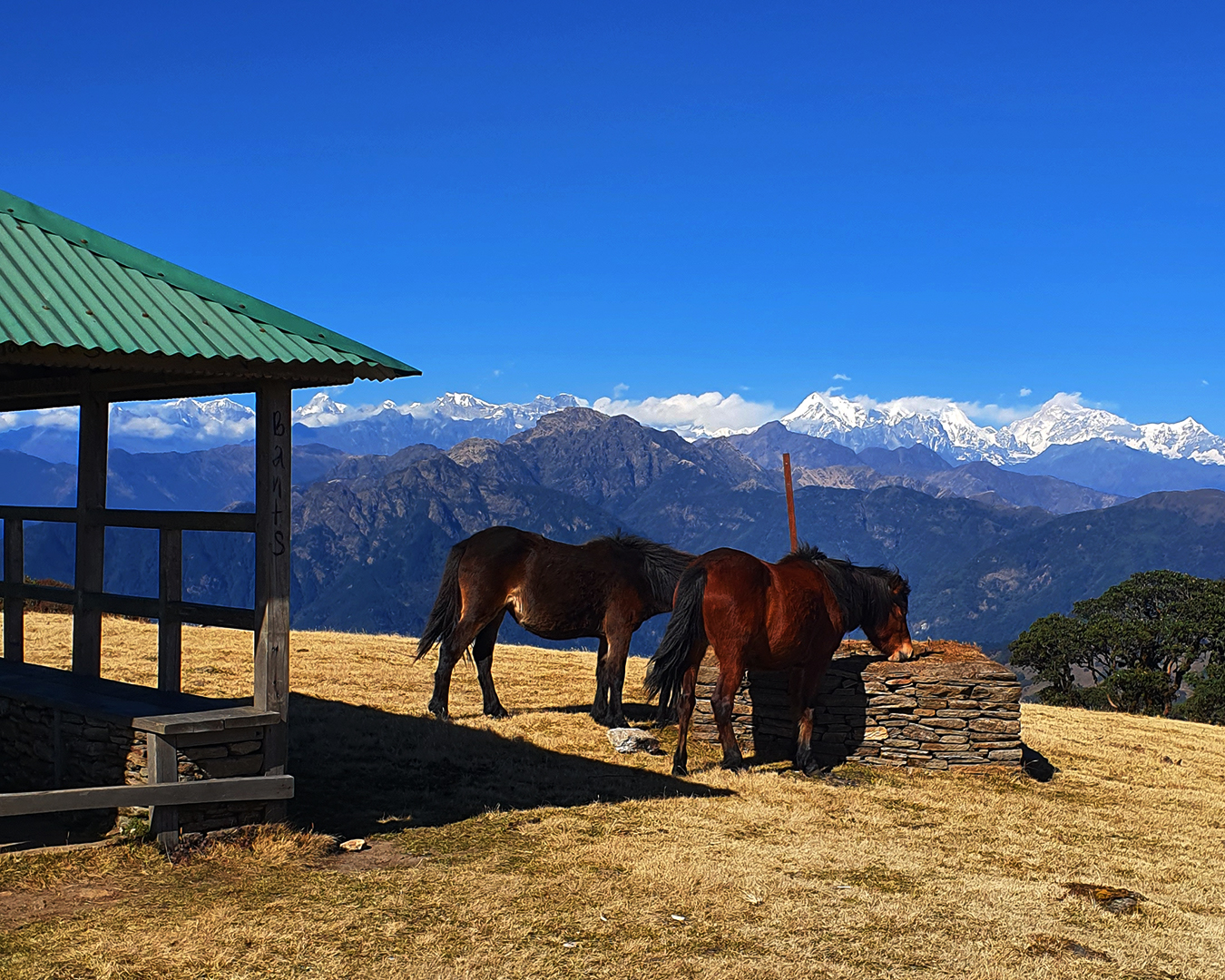Mundum Trekking Trail