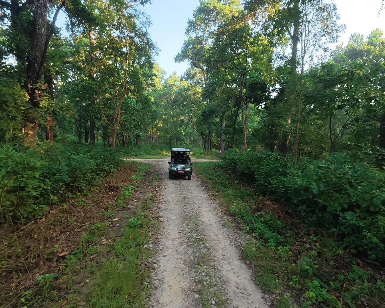 Nepal Jungle Paradise Tour