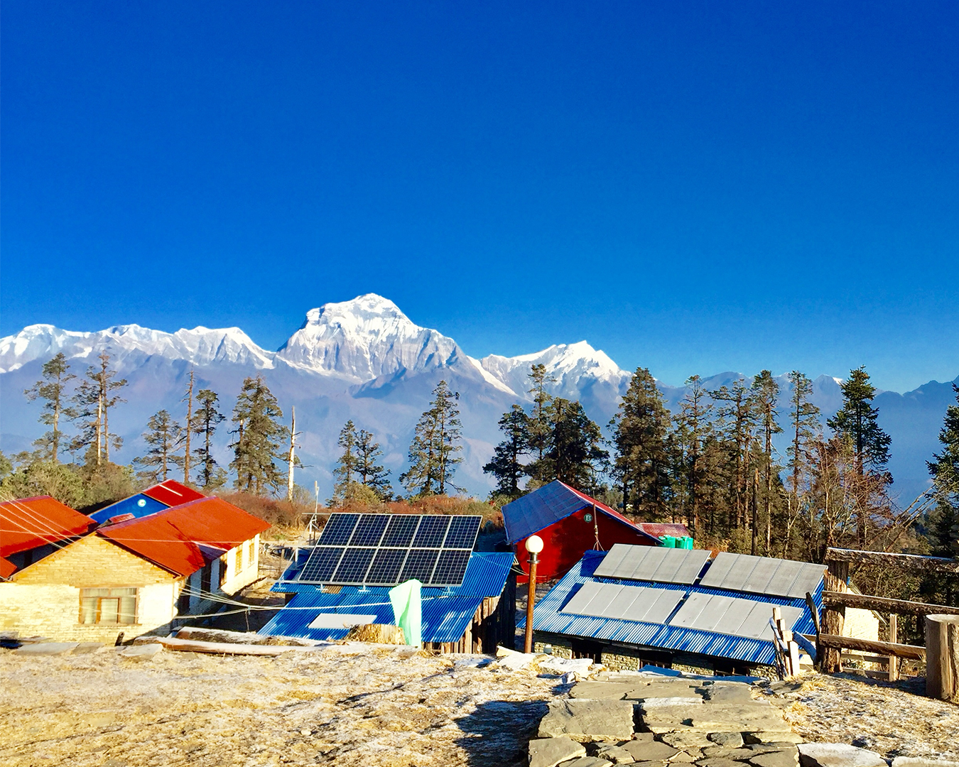 Short Mohare Danda Trek