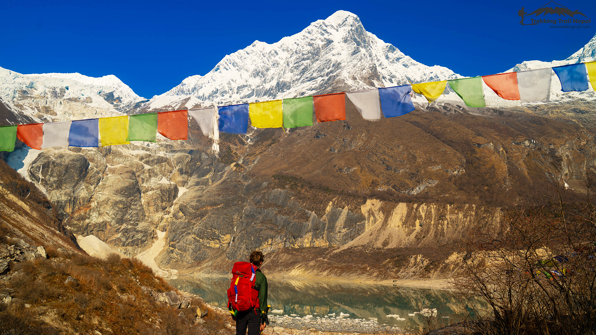 Terms and Conditions