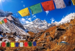 Every Thing You Need to Know about Annapurna Base Camp Trekking