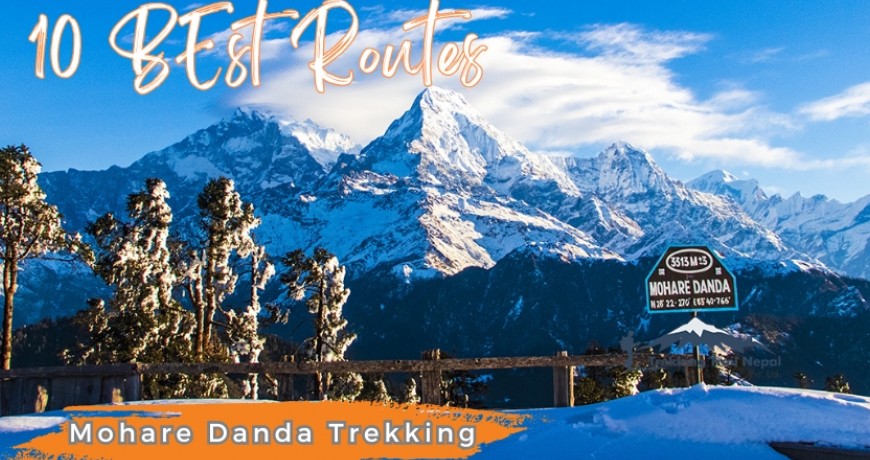 10 Best Trail Route Itinerary for Mohare Danda Trekking