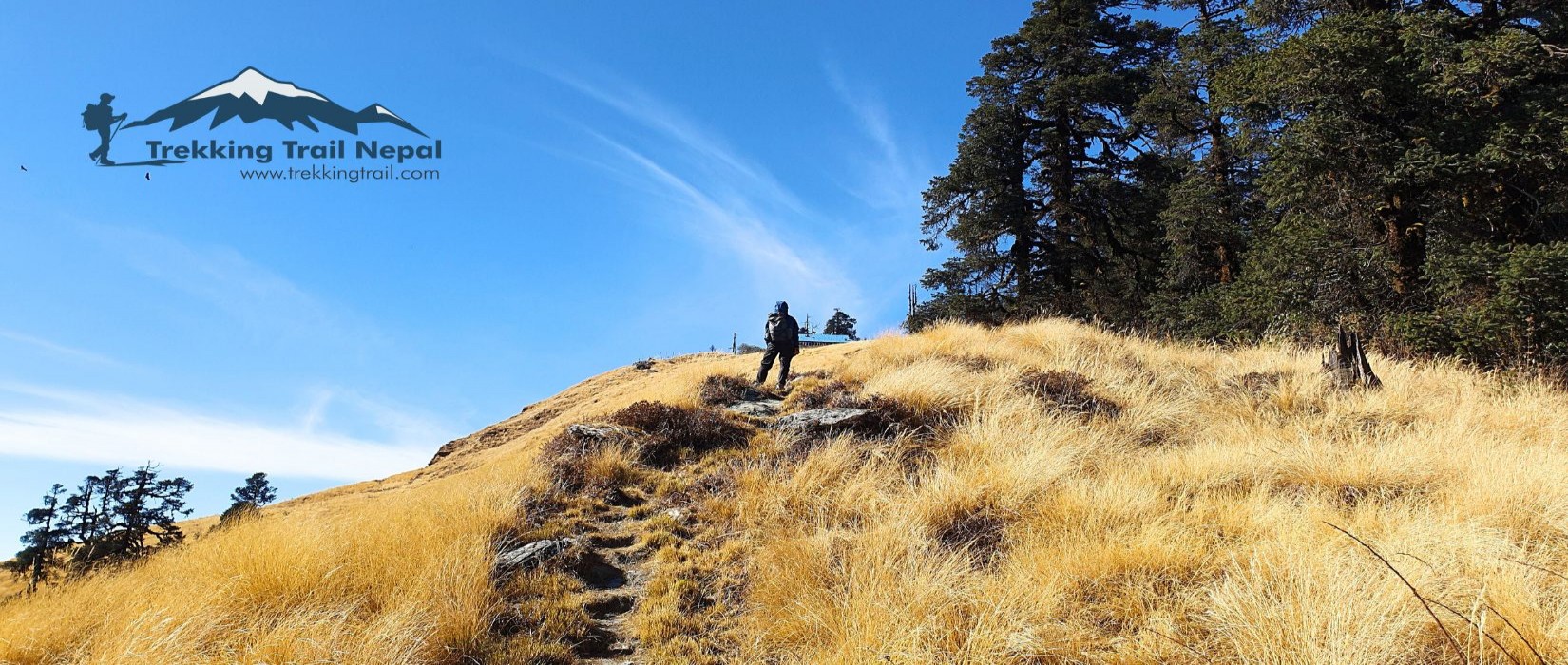 Kokhe Danda Trek Grassland