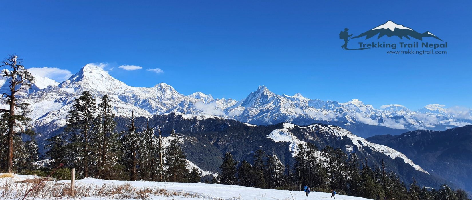 Kokhe Danda Trek in Winter